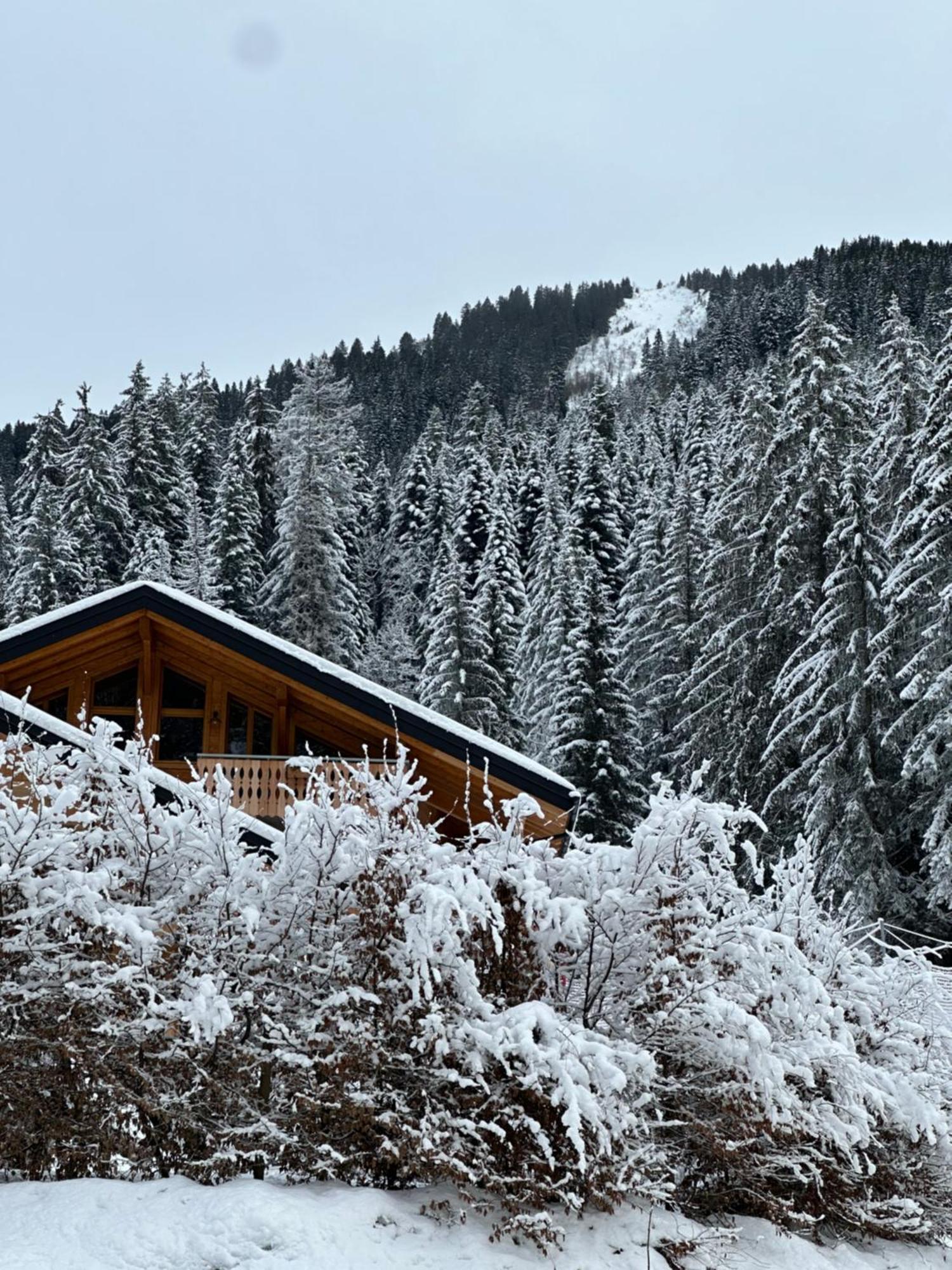 La Rose Des Neiges A Châtel Exterior foto